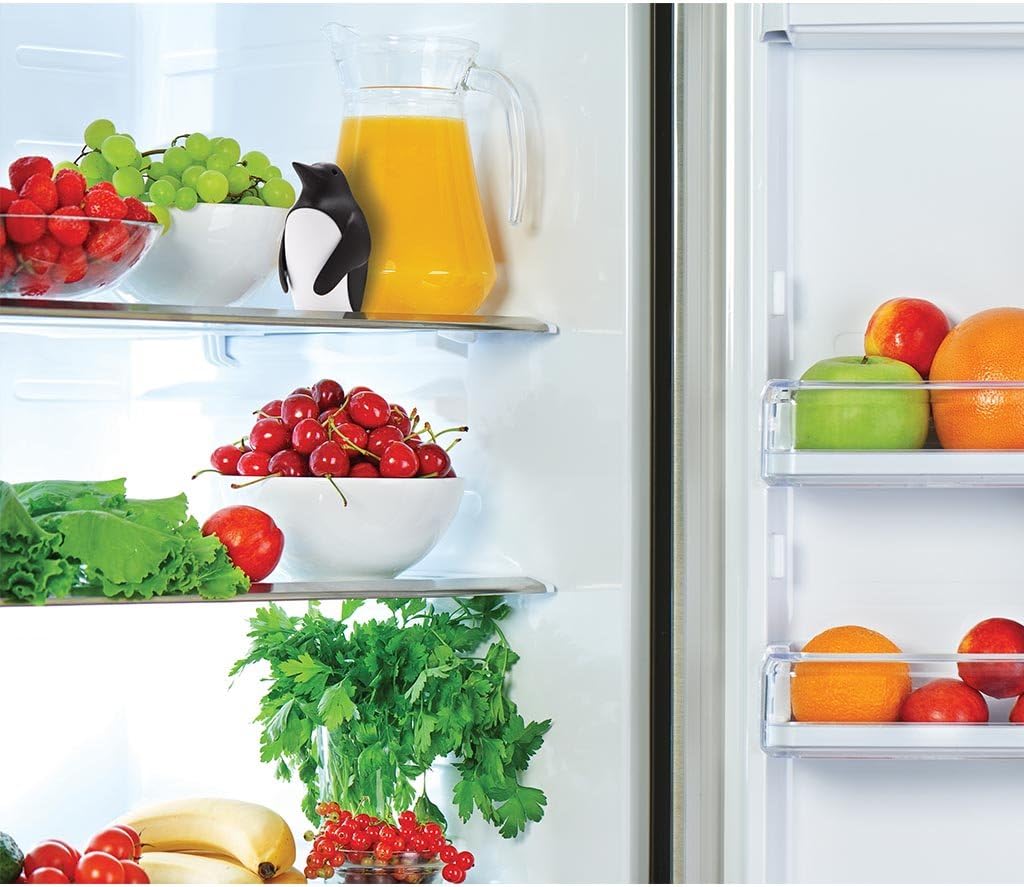 重曹ホルダー付き冷蔵庫消臭剤 - 冷蔵庫と冷凍庫をフレッシュ - Kitchen Gadgets Holder のレビューと価格